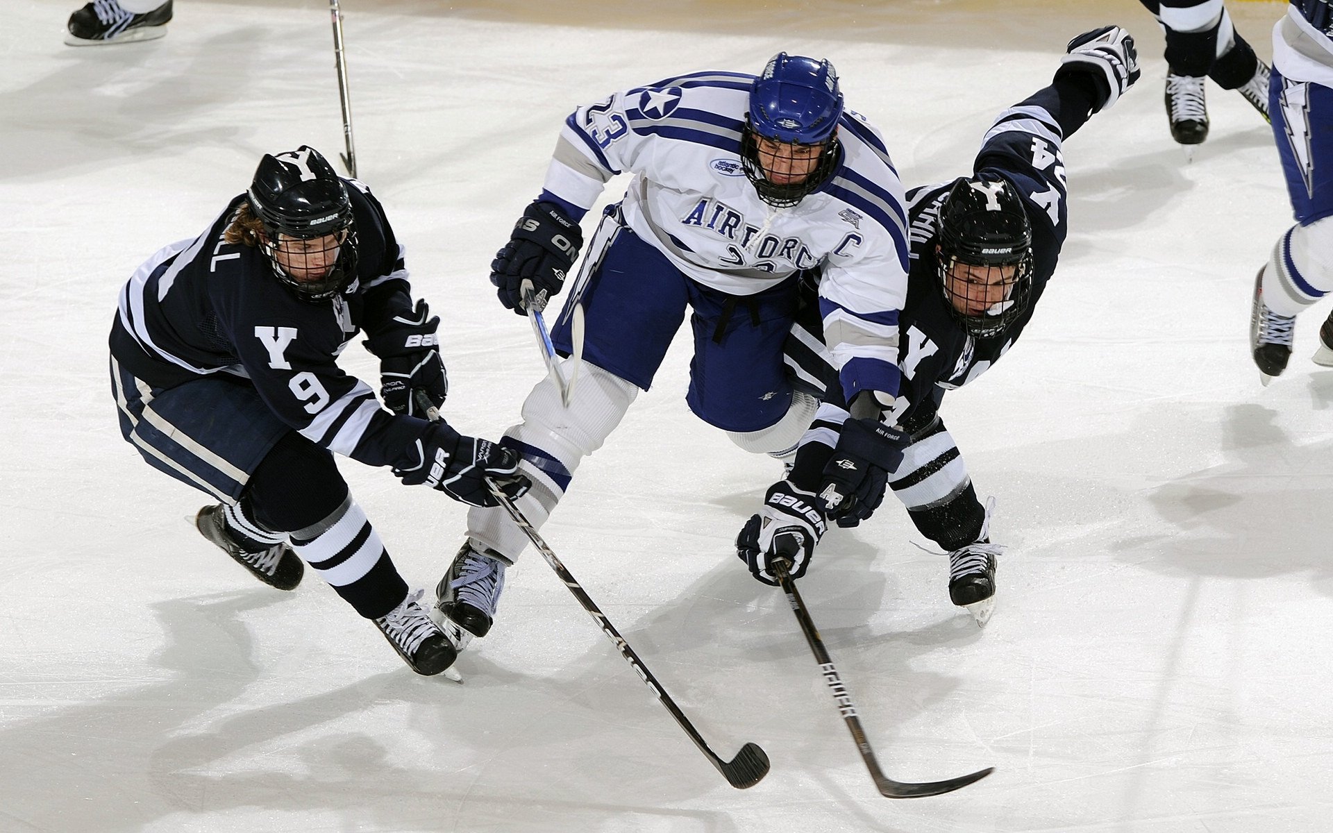 红雀再输一场，媒体开始倒计时主帅去留，红雀 pan