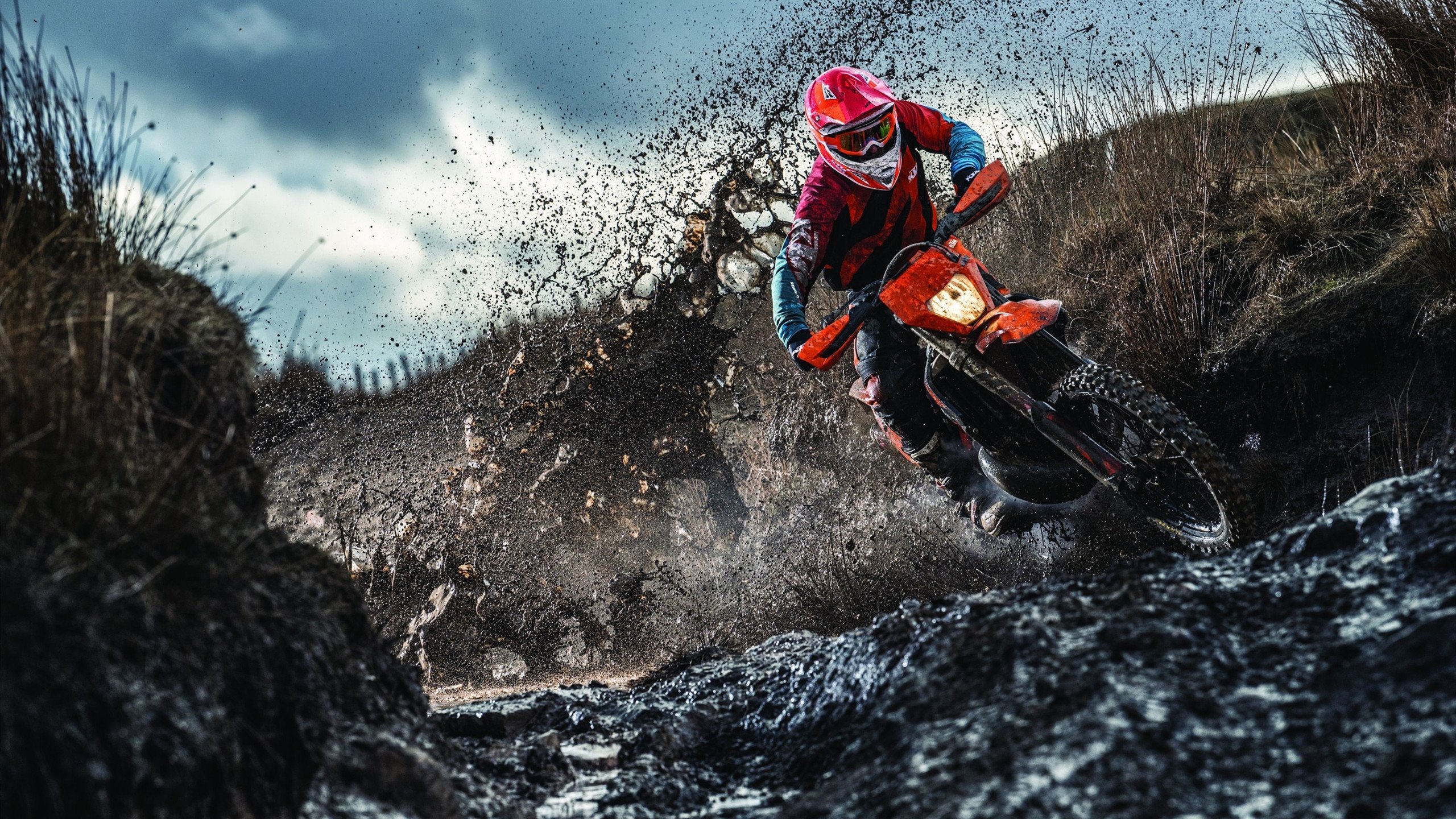 WBG新赛季阵容备受关注中韩融合期待值上升,msi季中赛韩国队伍